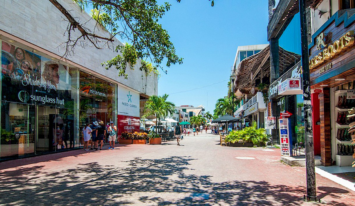 playa del carmen real estate