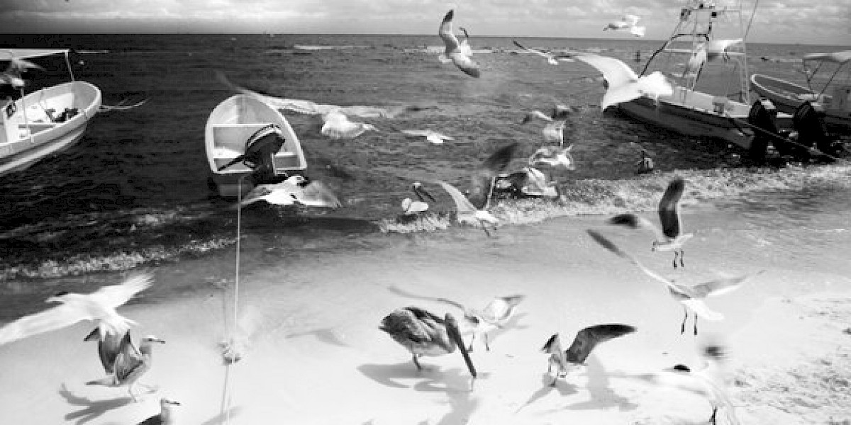 MÁS ALLÁ DE LO VISIBLE: FOTOGRAFÍA INFRARROJA DE GARY DILLARD