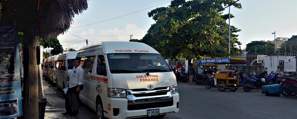 COLECTIVO VANS: EXPLORA LA RIVIERA MAYA COMO UN LOCAL