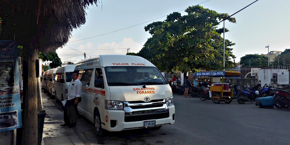 COLECTIVO VANS: EXPLORA LA RIVIERA MAYA COMO UN LOCAL