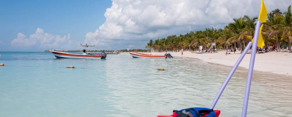 EZ SNORKEL: EL ARRECIFE DE LA RIVIERA MAYA AL ALCANCE DE TODOS