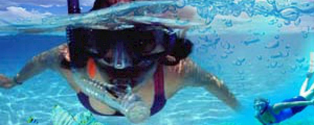 BIENES RAÍCES EN AKUMAL: COSAS QUE TENER MIENTRAS HACE SNORKEL EN AKUMAL