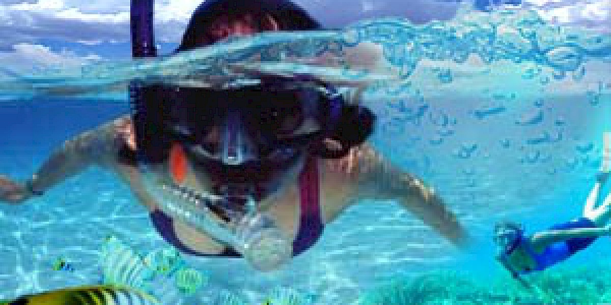 BIENES RAÍCES EN AKUMAL: COSAS QUE TENER MIENTRAS HACE SNORKEL EN AKUMAL