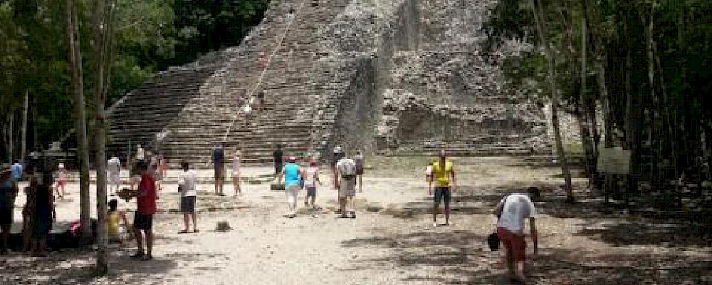 EXPLORANDO LA HISTORIA DETRÁS DE COB