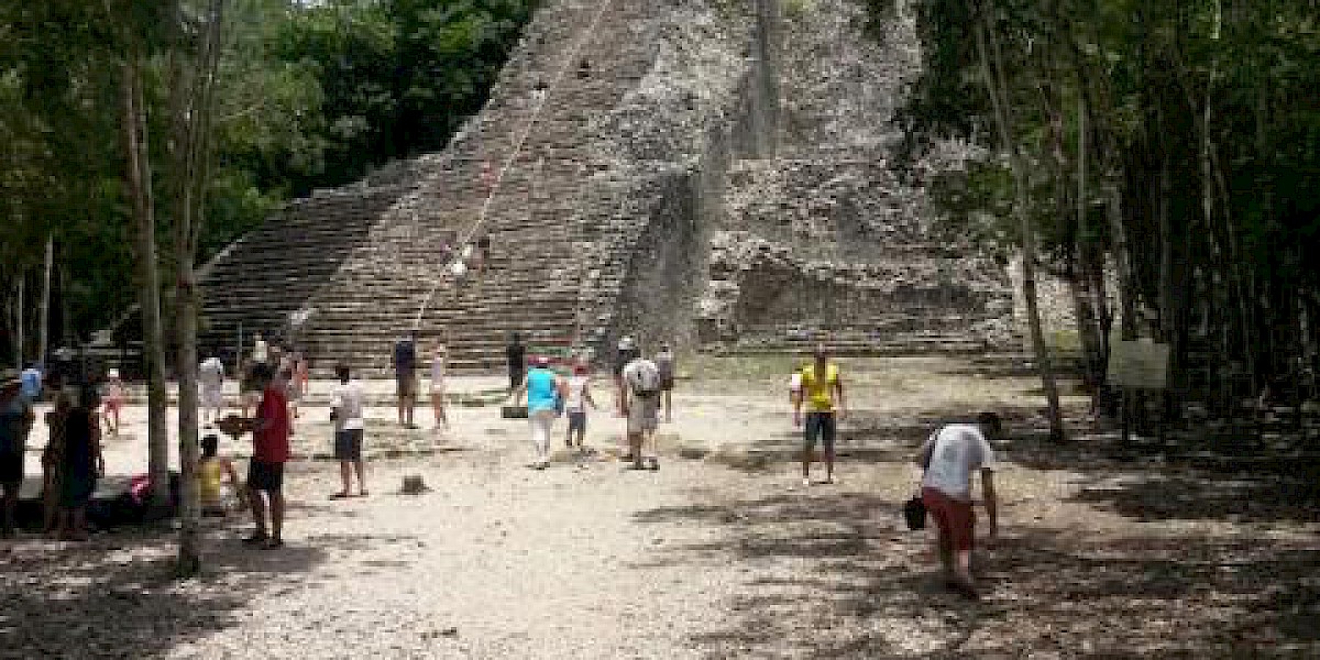 EXPLORANDO LA HISTORIA DETRÁS DE COB