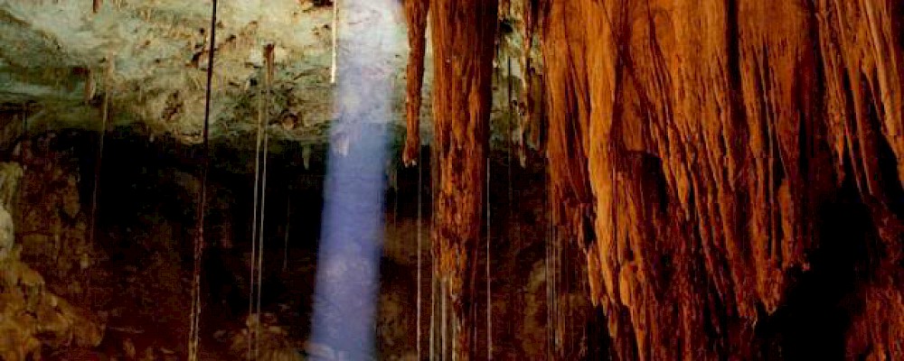LOS 4 TIPOS DE CENOTES QUE