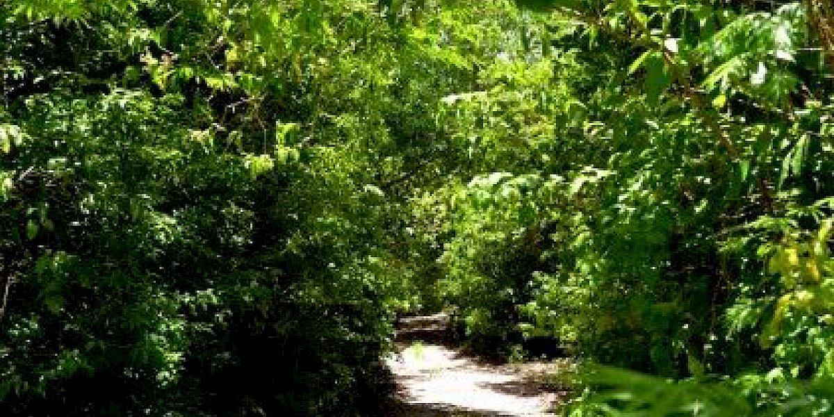 FUERA DE LOS CAMINOS HABITUALES EN PUERTO MORELOS