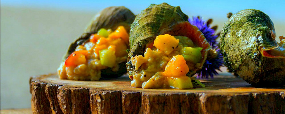 Cene y beba con chefs estrella en el Festival de Vinos y Comida de Cancún Riviera Maya