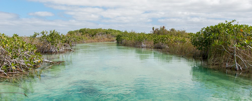 ¿Qué es la Biosfera de Sian Ka&#39;an?