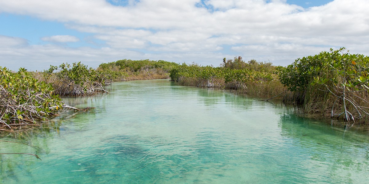¿Qué es la Biosfera de Sian Ka'an?