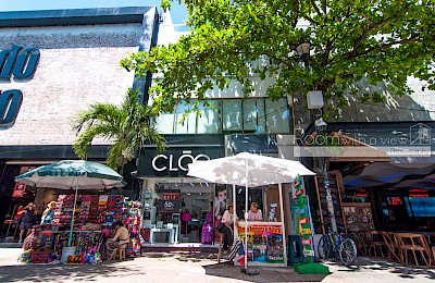 Playa Del Carmen Real Estate Listing | Absolut Vida