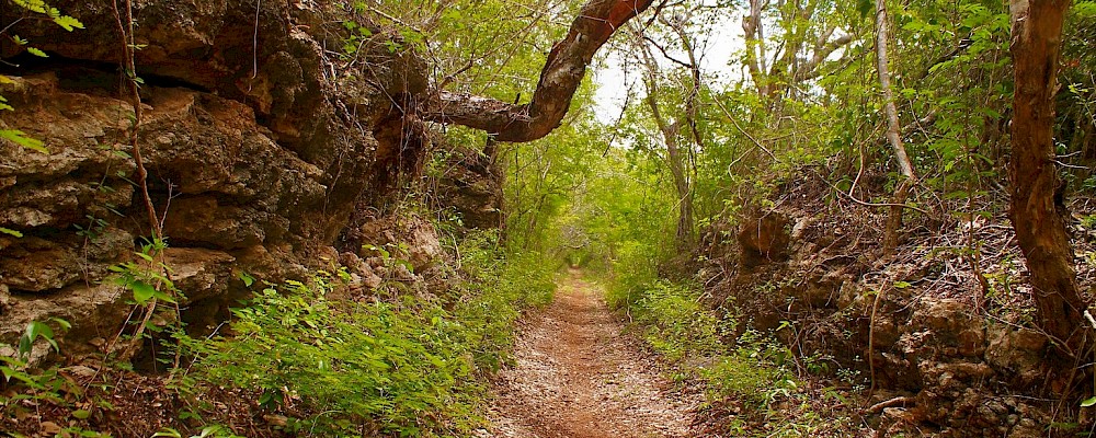Proyectan circuito de usos múltiples &#39;Camino del Mayab&#39; en Yucatán