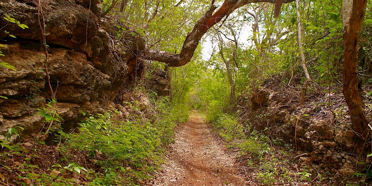 Proyectan circuito de usos múltiples 'Camino del Mayab' en Yucatán
