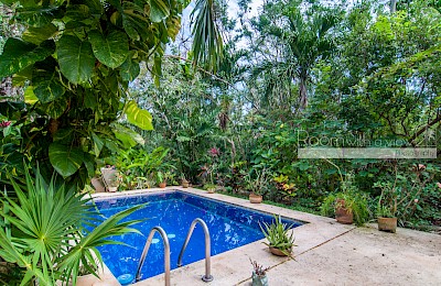 Puerto Aventuras Real Estate Listing | Villa Arbol