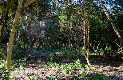 Tulum Real Estate Listing | Tulum Centro Double Lot