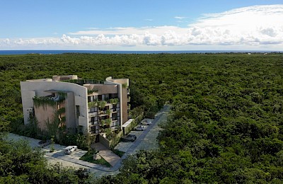 Tulum Real Estate Listing | Oniric 1 Bedroom
