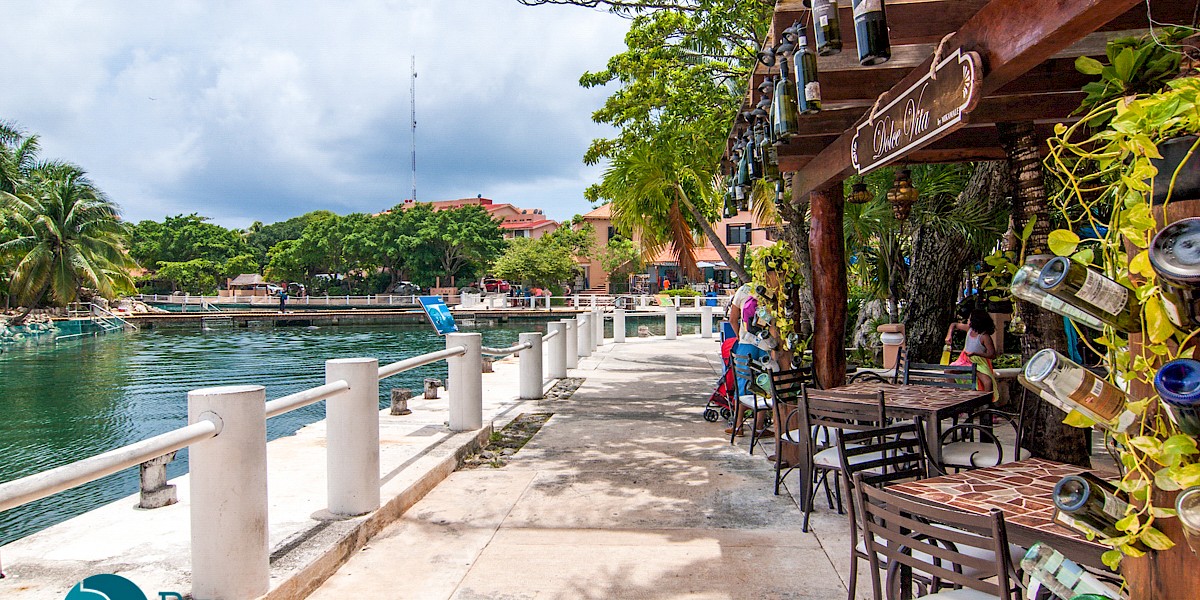 El mejor destino de aventura: 5 actividades imprescindibles en Puerto Aventuras Marina