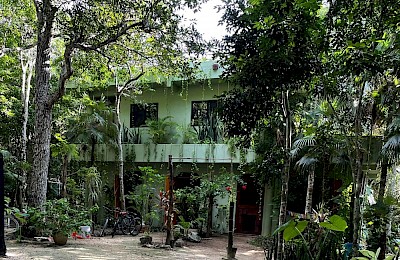 Chemuyil Real Estate Listing | Jungle Eco Home