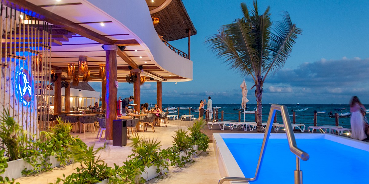 Bienestar y felicidad culinaria con Somos Reef Group
